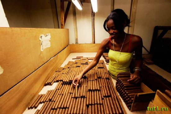 Кубинские сигары - процесс изготовления