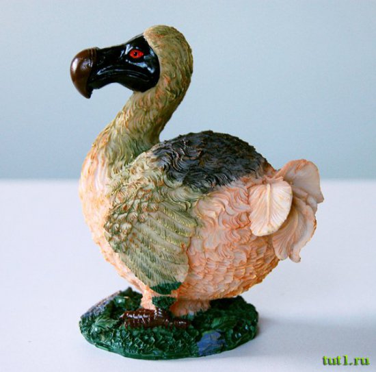 Птица додо - Маврикий