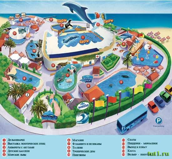 Схема парка развлечений Marineland