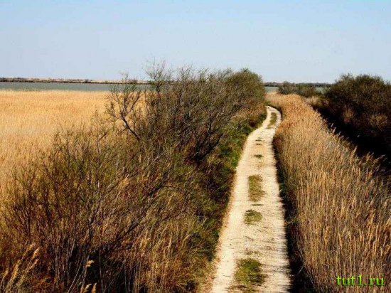 Франция, Камарг