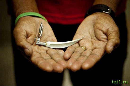 Филиппины - бойцовские петухи