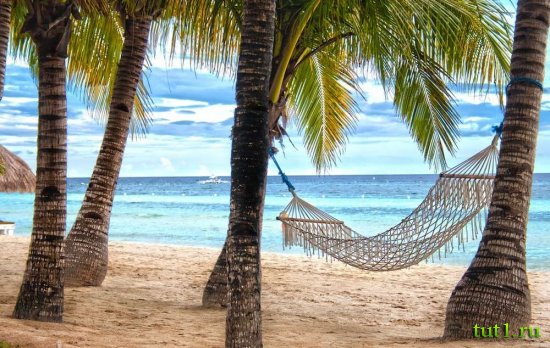 Остров Бохол