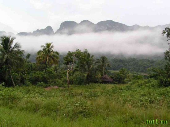Тринидад - "долина сахарных заводов"