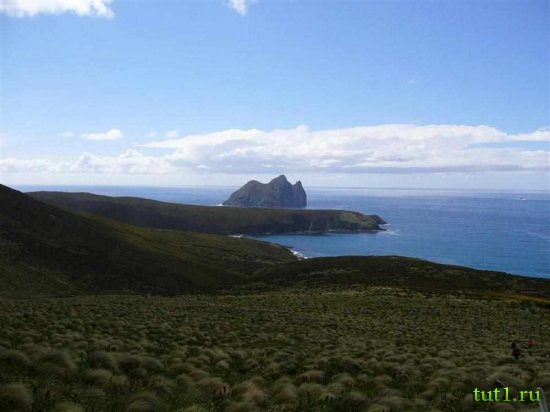 Новая Зеландия - остров Кэмпбелл