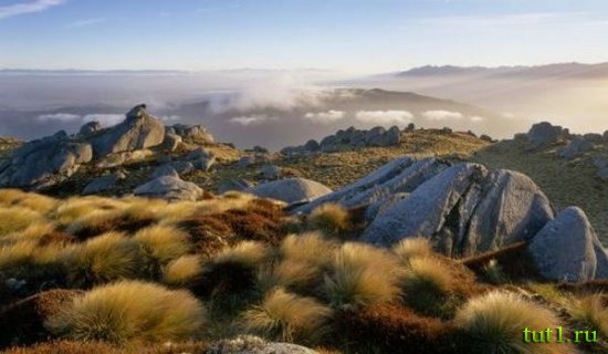 Остров Эндерби — Новая Зеландия