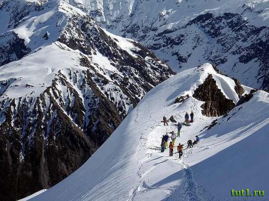 Новая Зеландия - ледник Фокса