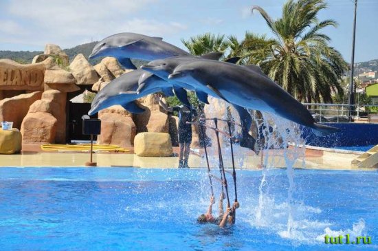 Парк развлечений Marineland - Майорка