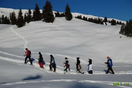 Майрхофен - пешеходные тропы