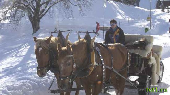 Австрия, Зеефельд - катание на санях