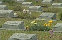 Мемориальное кладбище Кохимы