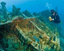 Шри-Ланка, Хиккадува - дайвинг