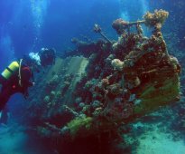 Шри-Ланка, Хиккадува - дайвинг